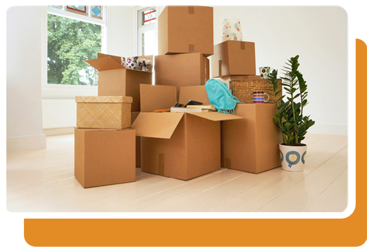 Moving and Junk Removal in Windsor-Essex