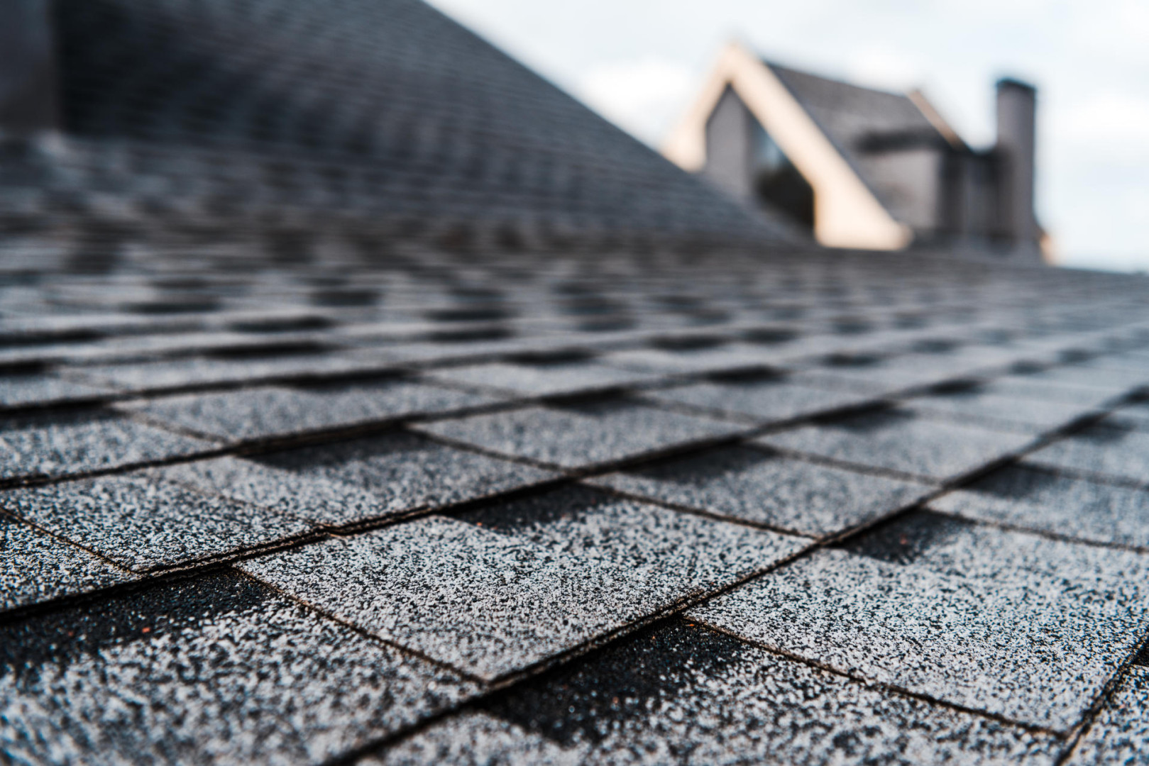 Bin Rentals for Roofing Projects in Windsor & Essex County