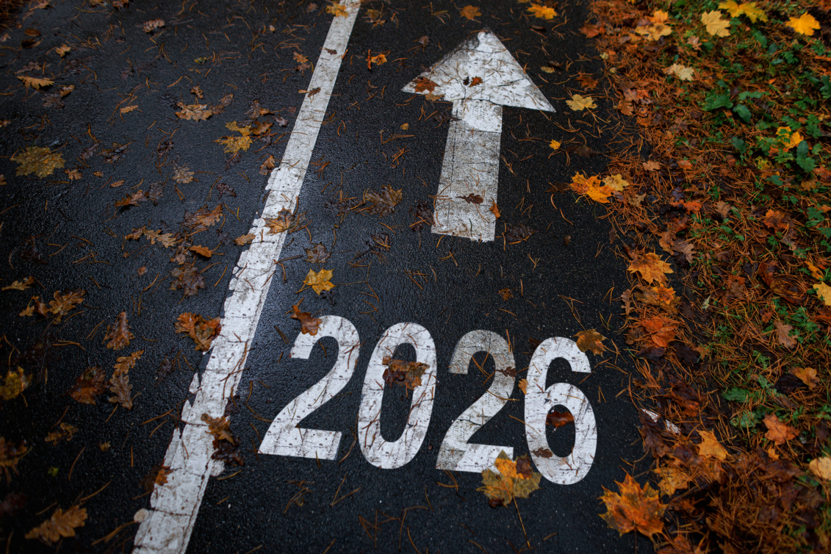 End the Year Clutter-Free with a Windsor Bin Rental